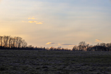 Obraz premium The photograph depicts a peaceful evening landscape with a field in the foreground and a line of trees on the horizon. The sky is painted in soft shades of sunset, with small clouds adding dynamics.