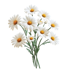Fototapeta premium Blooming Daisy Bouquet on White or Transparent Background Fresh Floral Arrangement