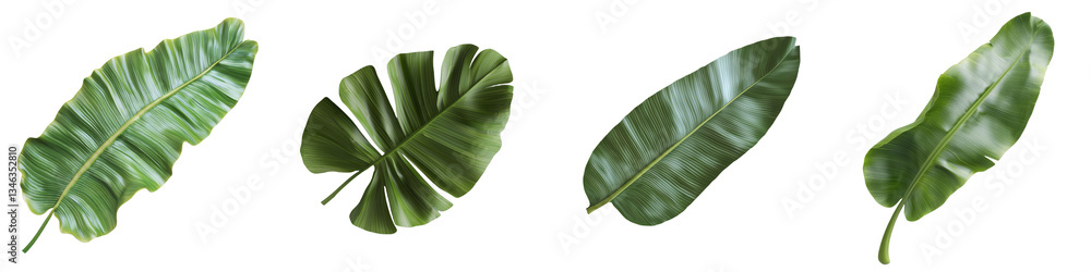 Poster the image of a tropical green leaf isolated on transparent background is a product of generative ai
