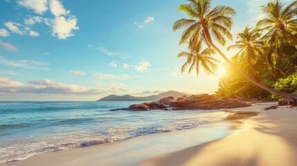 Generic Tropical Beach Scene Ocean High Resolution