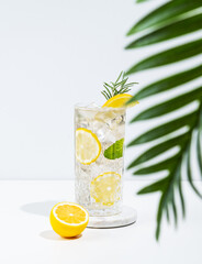 Lemonade with lemon, rosemary and ice in a glass on a light background with palm leaf.