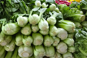Close-up of fresh bok choy vegetables arranged in a neat stack at a local wet market stall.