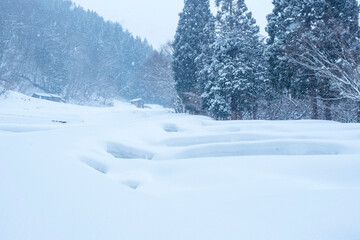 雪が積もった氷ノ山の棚田の風景 鳥取県 氷ノ山