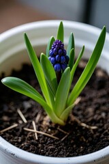 Obraz premium there is a large piece of wood that is sitting on the floor