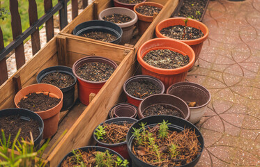 Pots for planting plants filled with soil on the terrace of a country house, spring seedlings concept