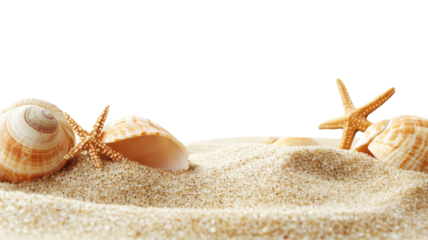 Seashells and starfishes resting on sand with transparent background