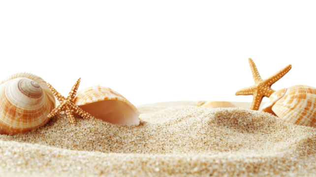 Seashells and starfishes resting on sand with transparent background - Powered by Adobe