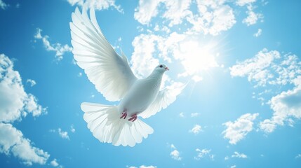 Generic Serene Blue Overview Peaceful Dove Spiritual