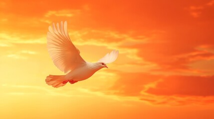 Generic Vibrant Orange Moment Warm Dove High Resolution