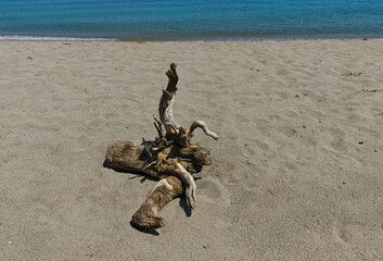 scenic lonely and sunny view of the sea shore in summer