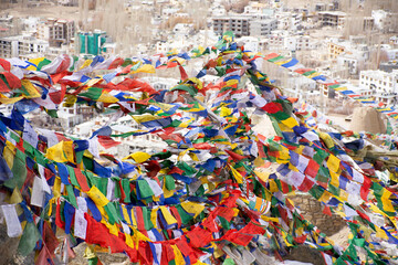 Indian and tibetan tied prayer and blessing flags on mount of Thiksey monastery and Namgyal Tsemo...