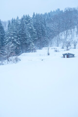 雪が積もった氷ノ山の棚田の風景 鳥取県 氷ノ山