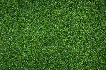 Obraz premium A dense field of vibrant green grass covering the entire frame in a uniform and textured pattern view