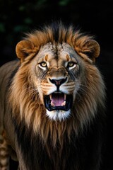 a close up of a hockey stick on a blue background