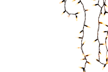 Warm white fairy lights hanging on a transparent background