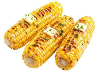 Grilled corn on the cob garnished with butter and herbs on a transparent background, cut out