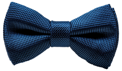 PNG Blue textured bow tie