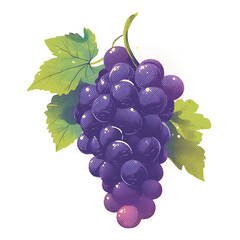 Fototapeta premium Grape fruit illustrator for advertising. Generative AI Illustration