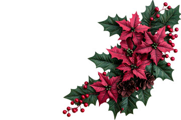 Fototapeta premium Christmas poinsettias and holly festive arrangement