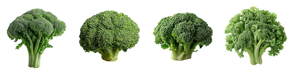 A collection of vibrant nutrient dense broccoli heads in various sizes and shapes showcasing the versatility and health benefits of this popular green vegetable