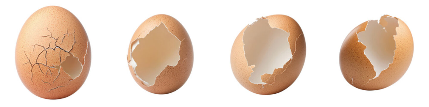 Four images showing the progression of a cracked egg shell from intact to fully open revealing the yolk and inner contents