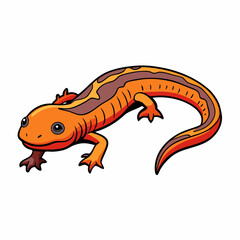 newt on a white background