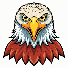 bald eagle vector illustration