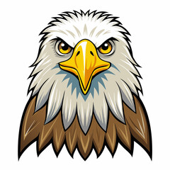 american bald eagle