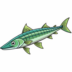 vector illustration of a barracuda fish