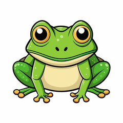 green bullfrog on white background