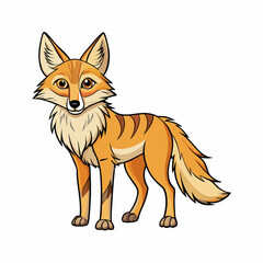 coyote cartoon vector