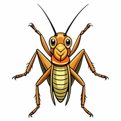 cricket isolated on white background