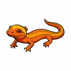 newt on a white background