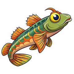 goby fish on a white background