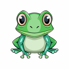 green frog vector illustration