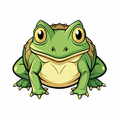 green frog isolated on white