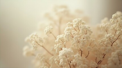Soft Dreamy Neutral Beige Floral Bouquet Close-up