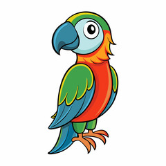 parrot on white background