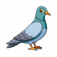cartoon pigeon bird