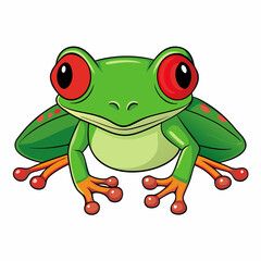 frog on white background