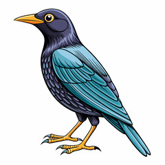 cartoon starling on white background