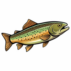 vector illustration of a trout fish