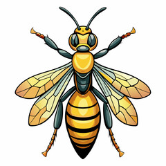 wasp vector illustration