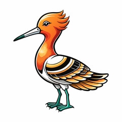 illustration of an american avocet bird