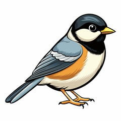 black capped chickadee bird 