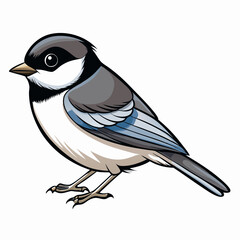 black capped chickadee bird 
