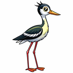 black necked stilt on a white background