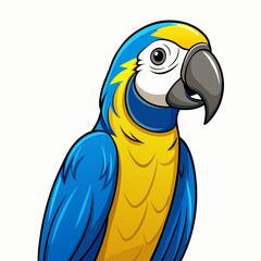 blue and yellow macaw