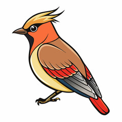 vector illustration of a cartoon cedar waxwing bird