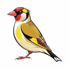vector illustration of a goldfinch bird